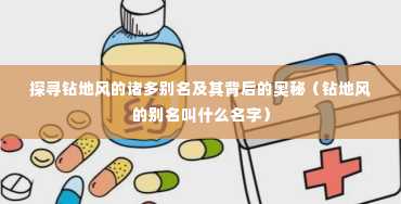 探寻钻地风的诸多别名及其背后的奥秘（钻地风的别名叫什么名字）