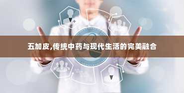 五加皮,传统中药与现代生活的完美融合